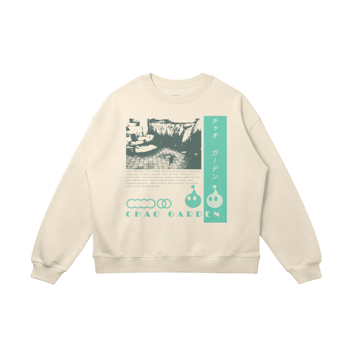 0-Y5D-Front Side